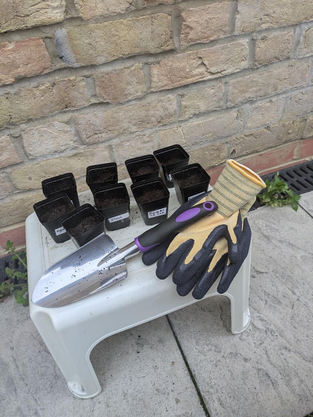 Gardening group at Diverse Services, photo 3